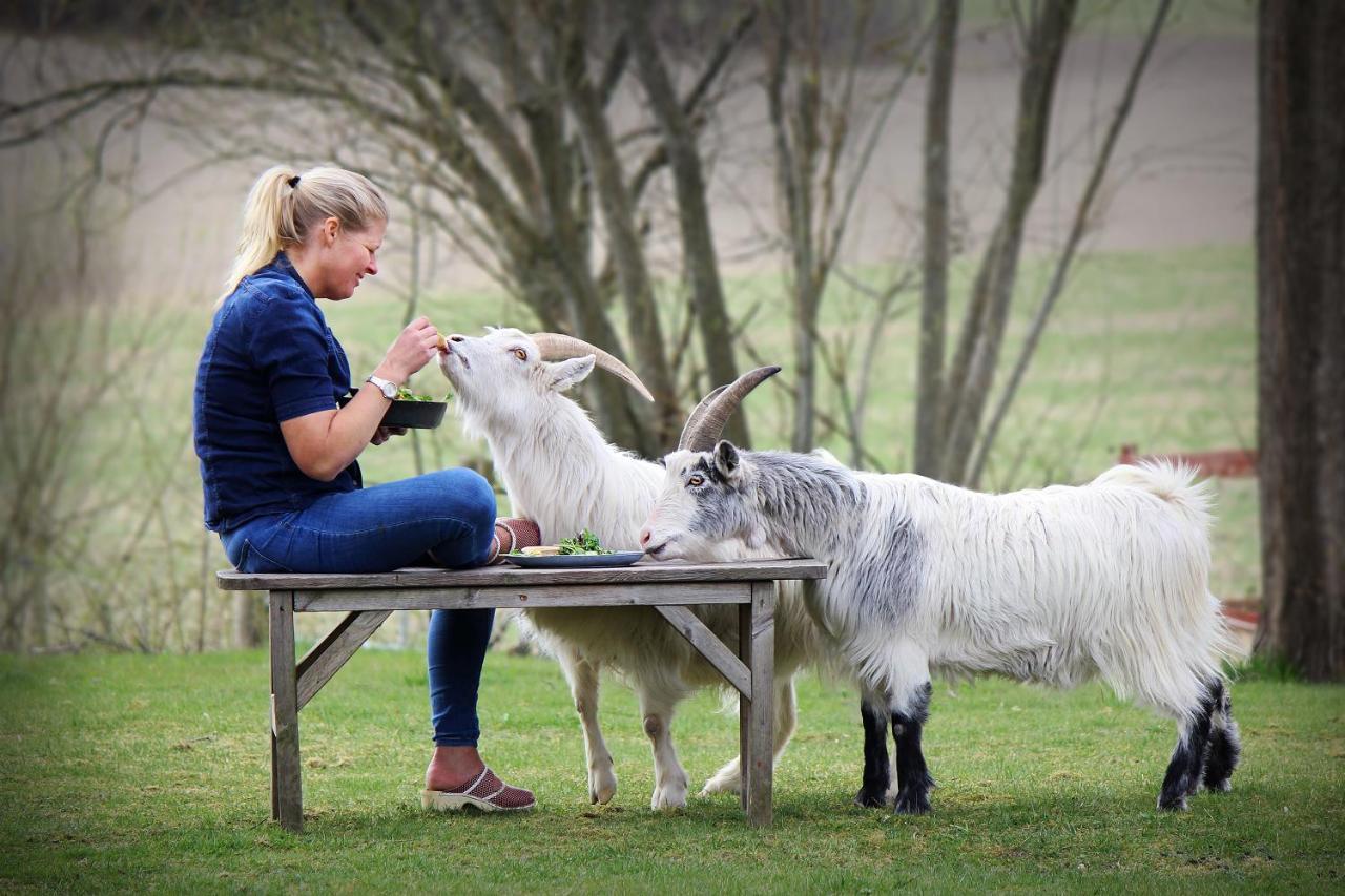 Toric Farmlodge Brastad Bagian luar foto