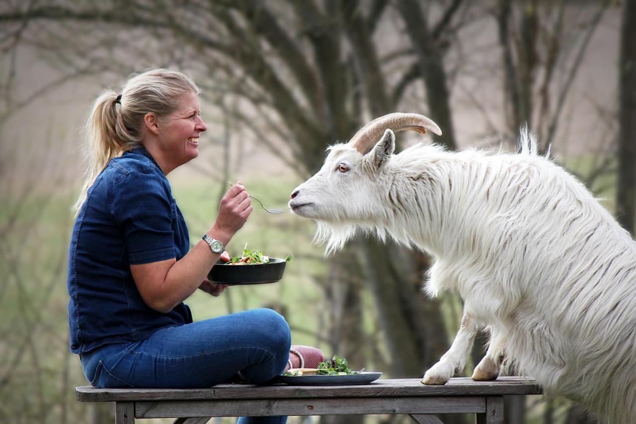 Toric Farmlodge Brastad Bagian luar foto